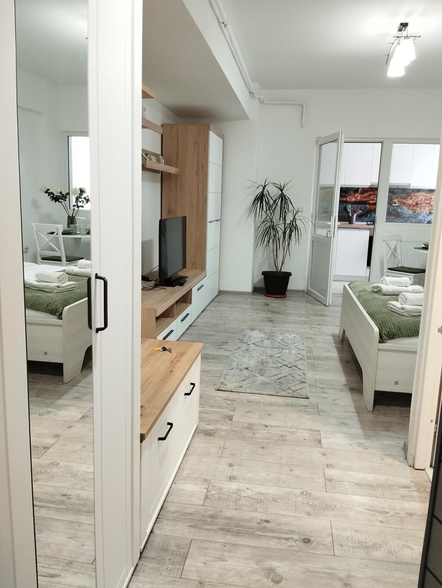 Apartment Amber Craiova